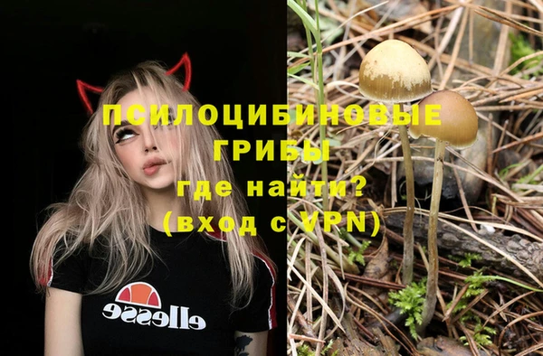 меф Белокуриха