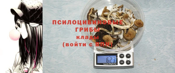 меф Белокуриха