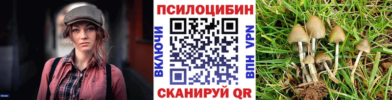 Купить где  Сосногорск  Галлюциногенные грибы ЛСД 